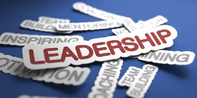 Business leader presenting strategy